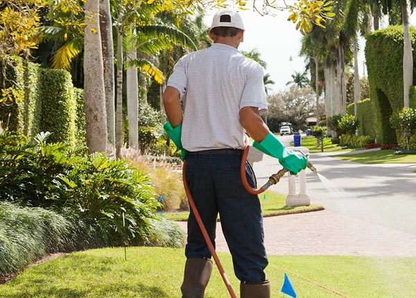 About Sunnyside NY Pest Control Pros