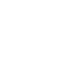 Sunnyside NY Pest Control Pros